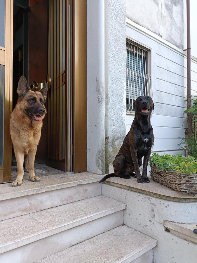 Chez Martha Bed & Breakfast Verona Dış mekan fotoğraf