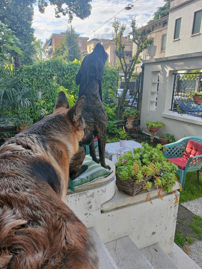 Chez Martha Bed & Breakfast Verona Dış mekan fotoğraf